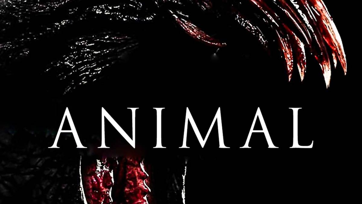 Animal | Collider