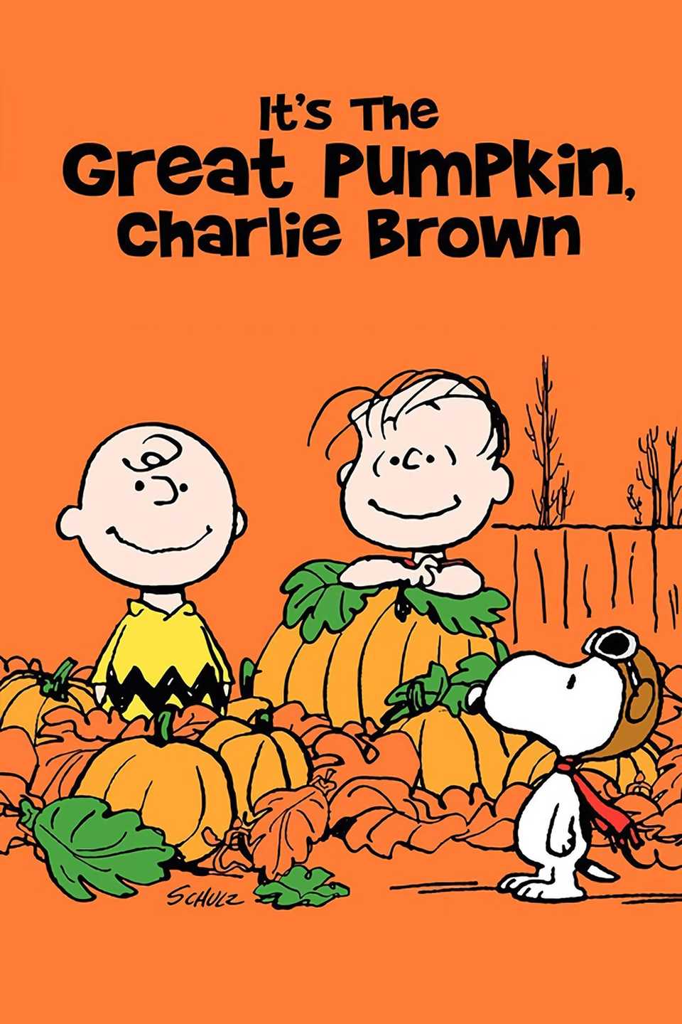 7 Times We Wanted to Give Poor Charlie Brown a Hug During the Holidays