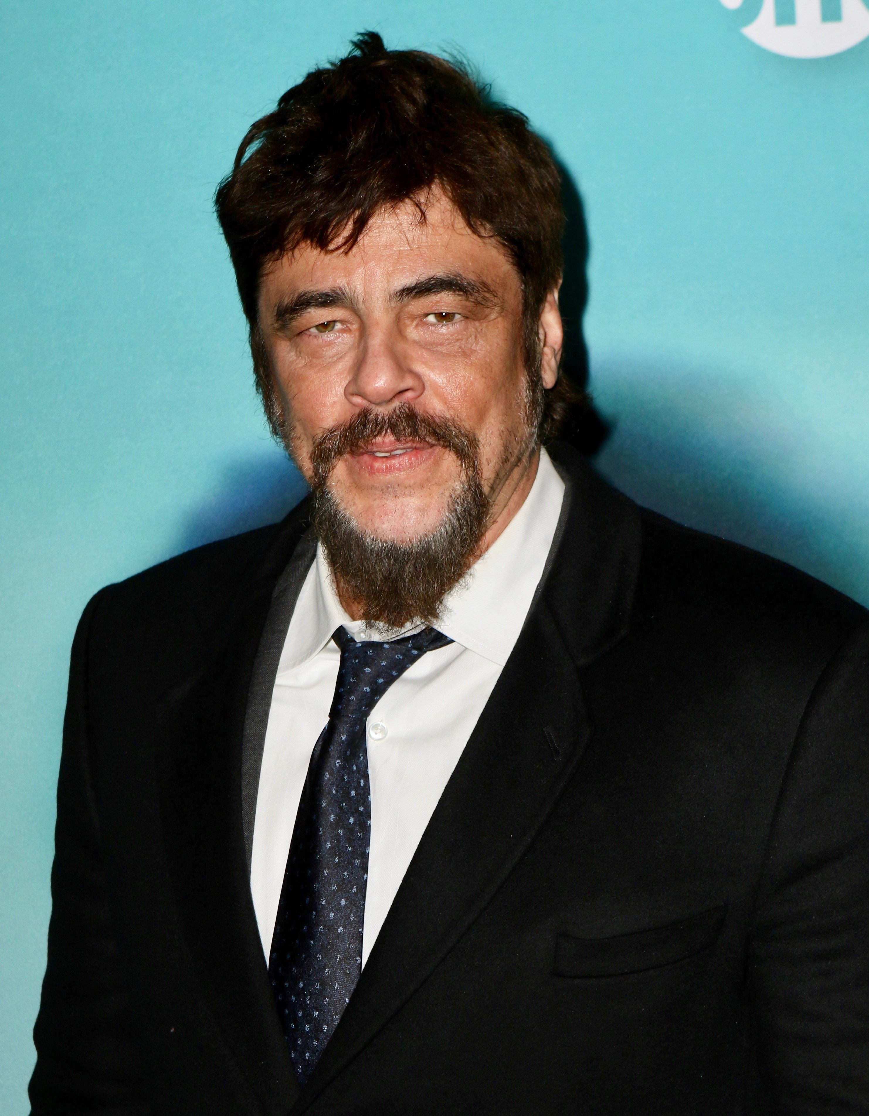Benicio Del Toro