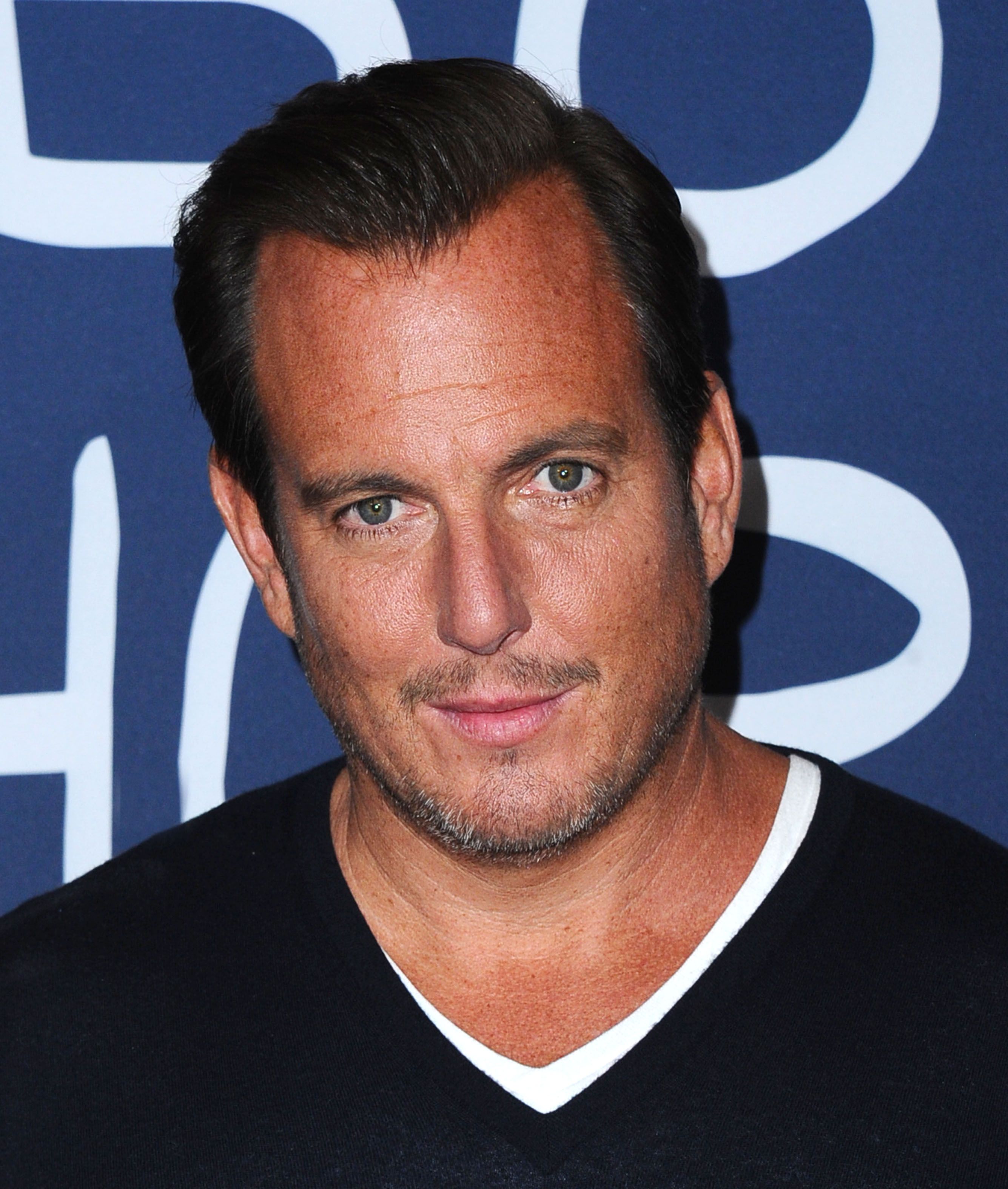 Will Arnett