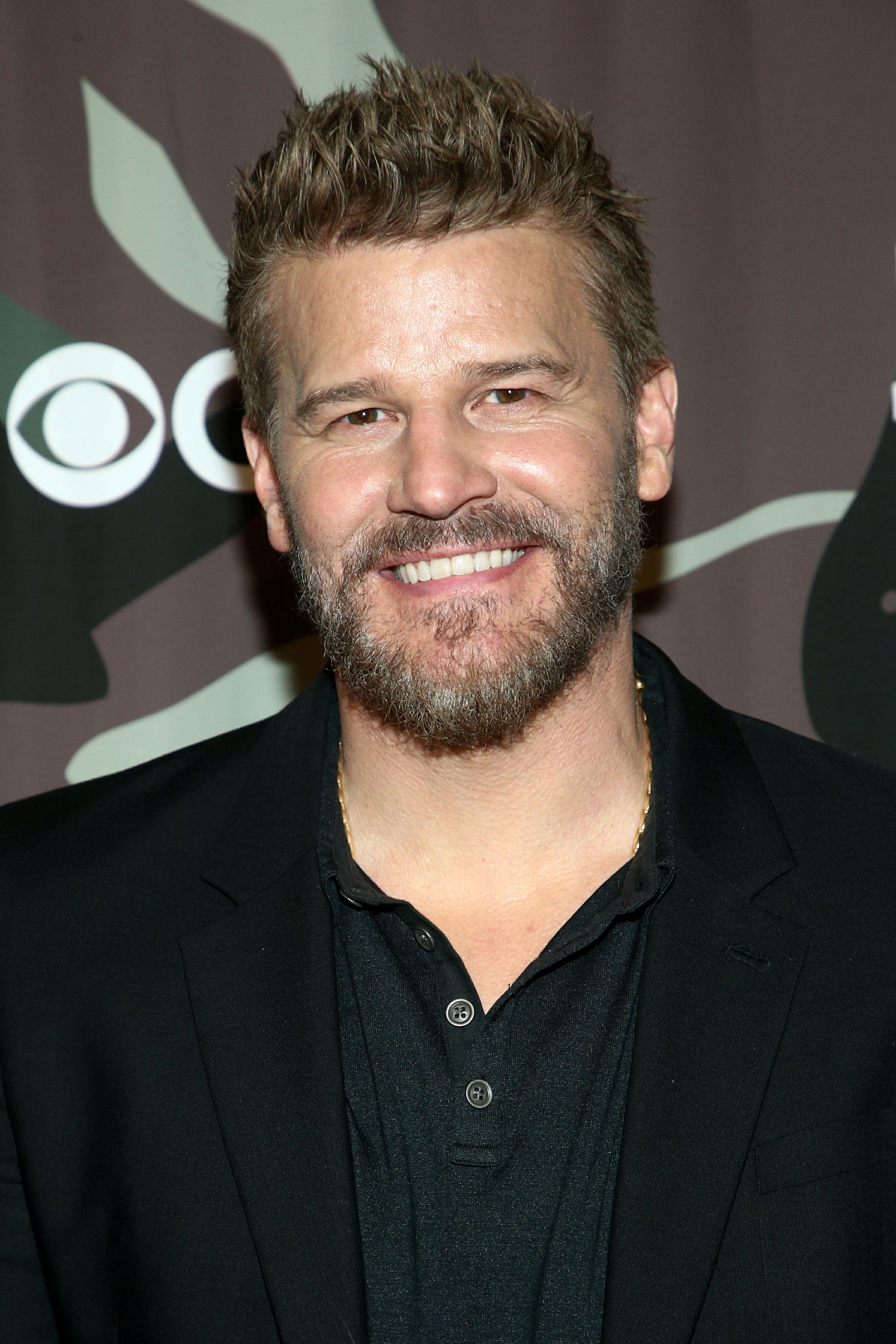 David Boreanaz