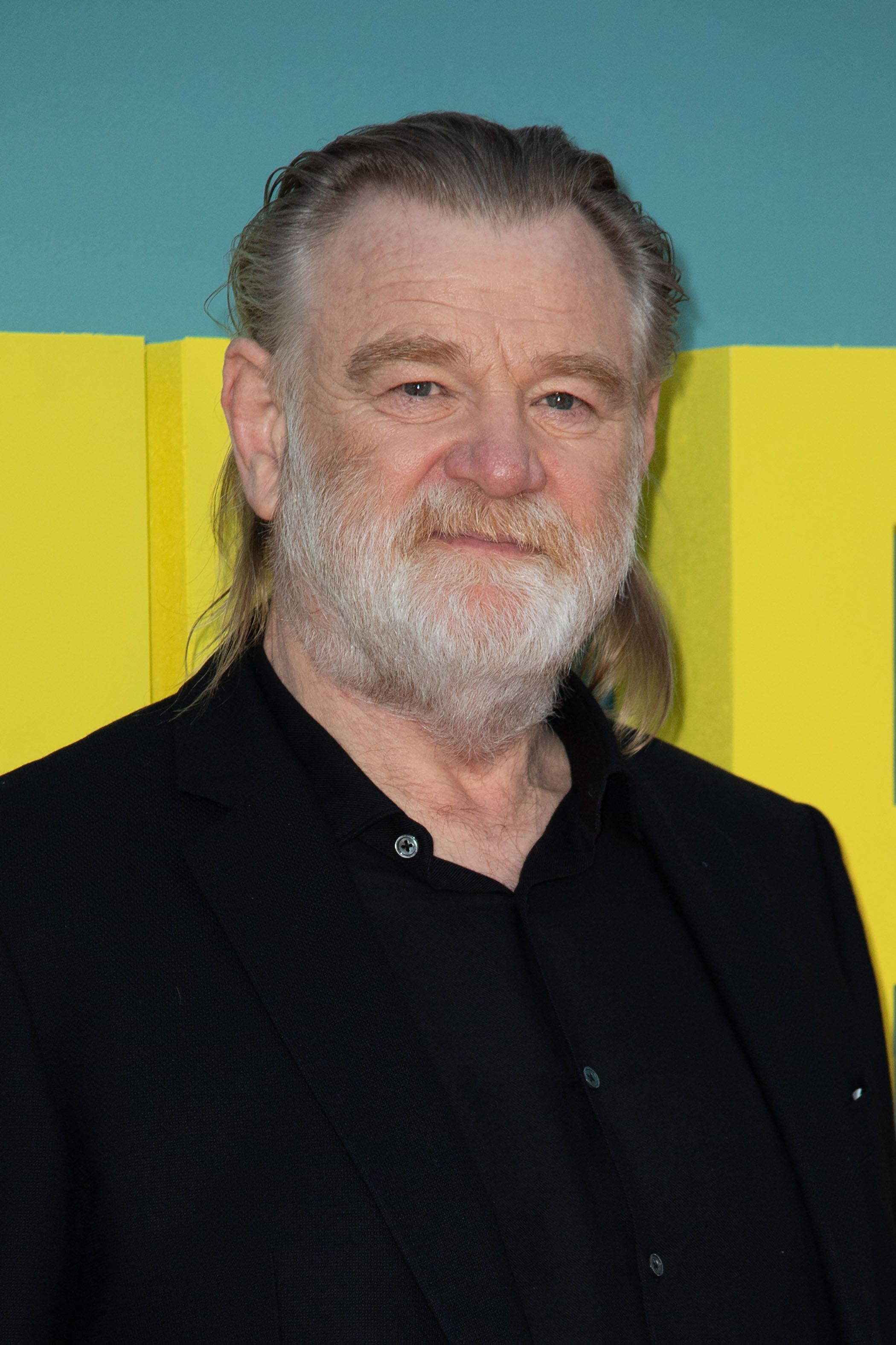 Brendan Gleeson