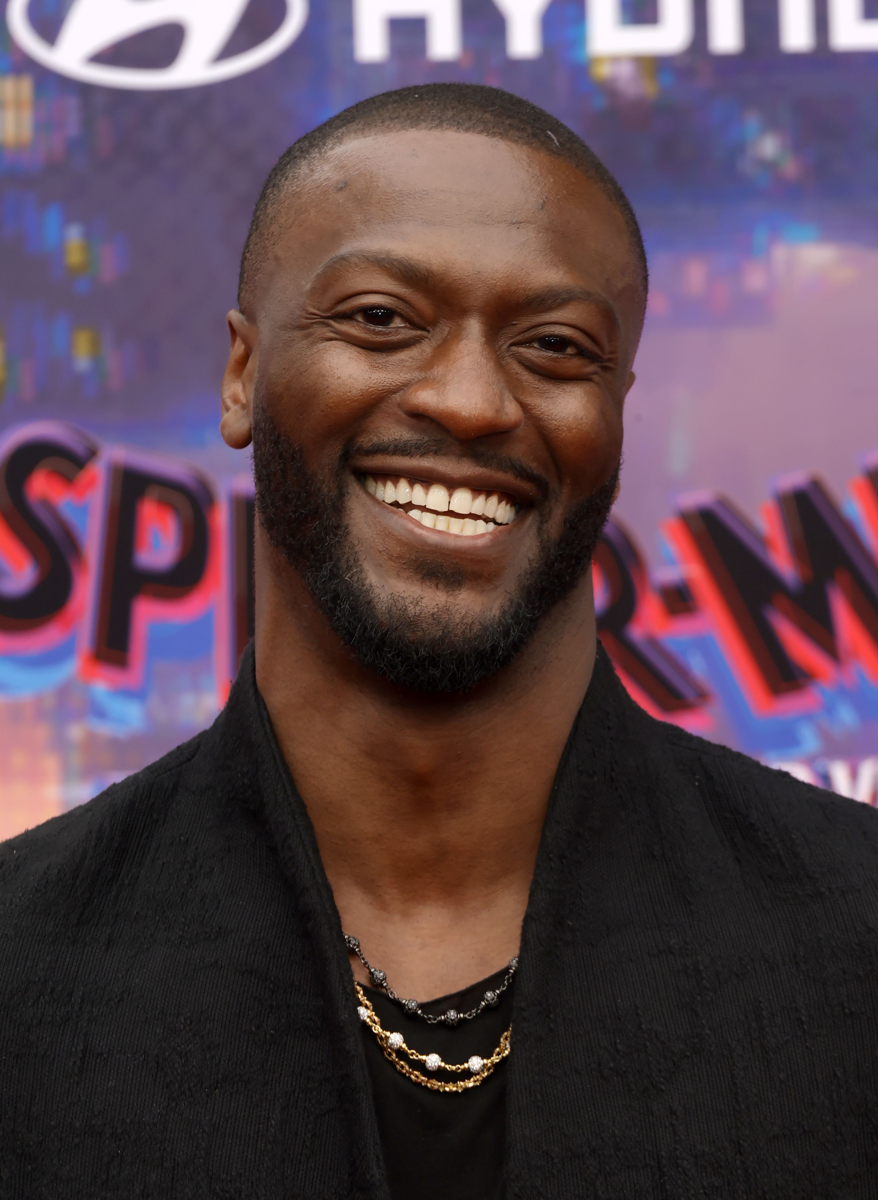 Aldis Hodge