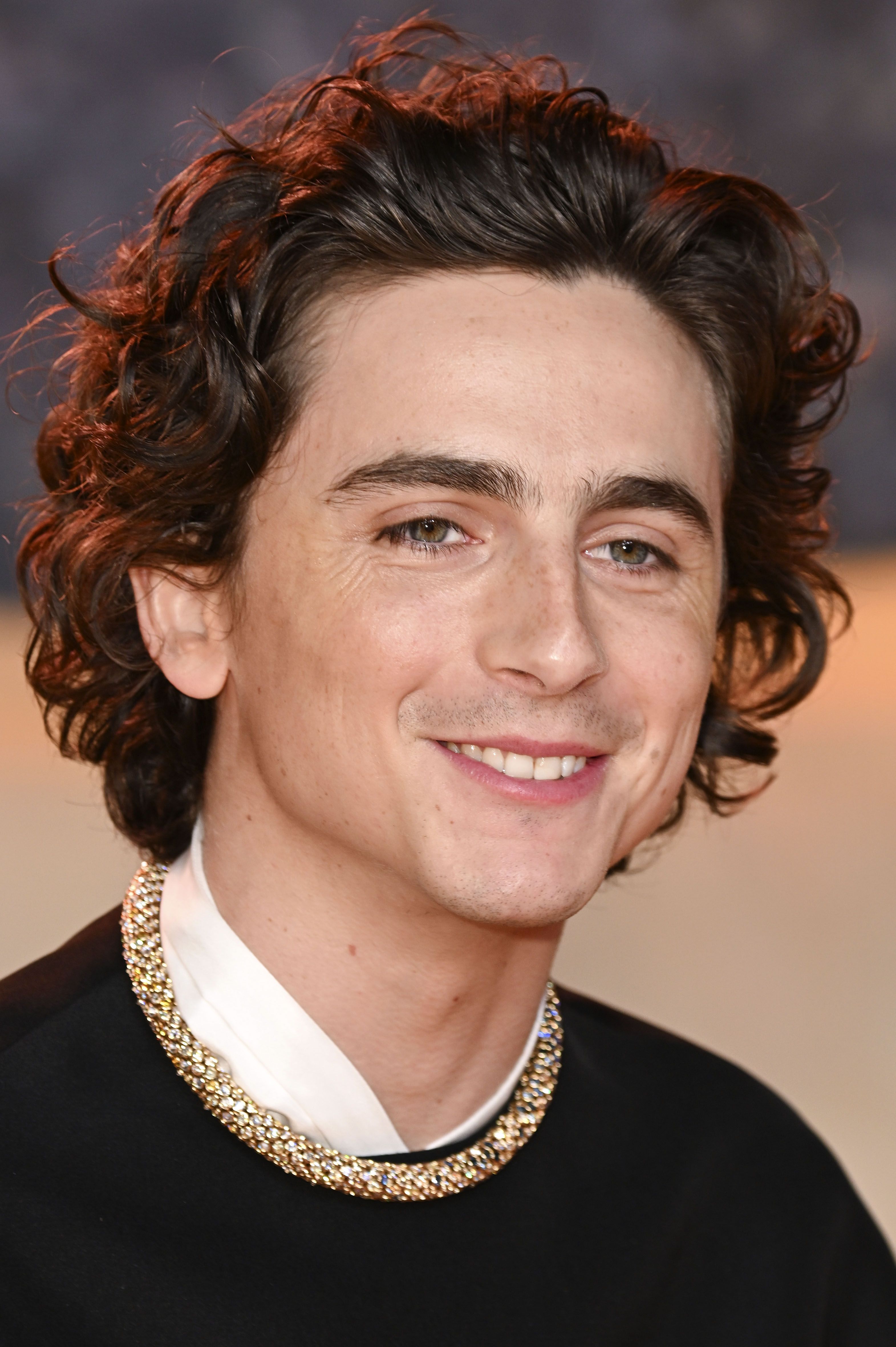 Timothee Chalamet