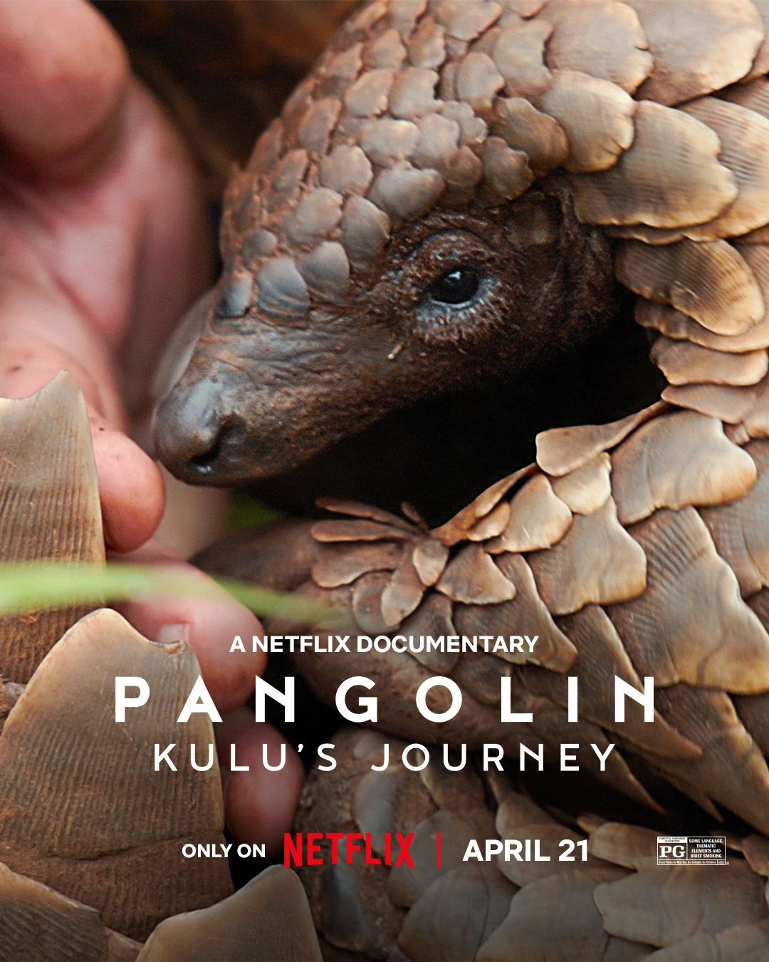 Pangolin: Kulu&rsquo;s Journey