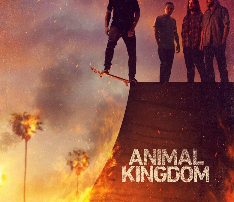 Animal Kingdom | Collider