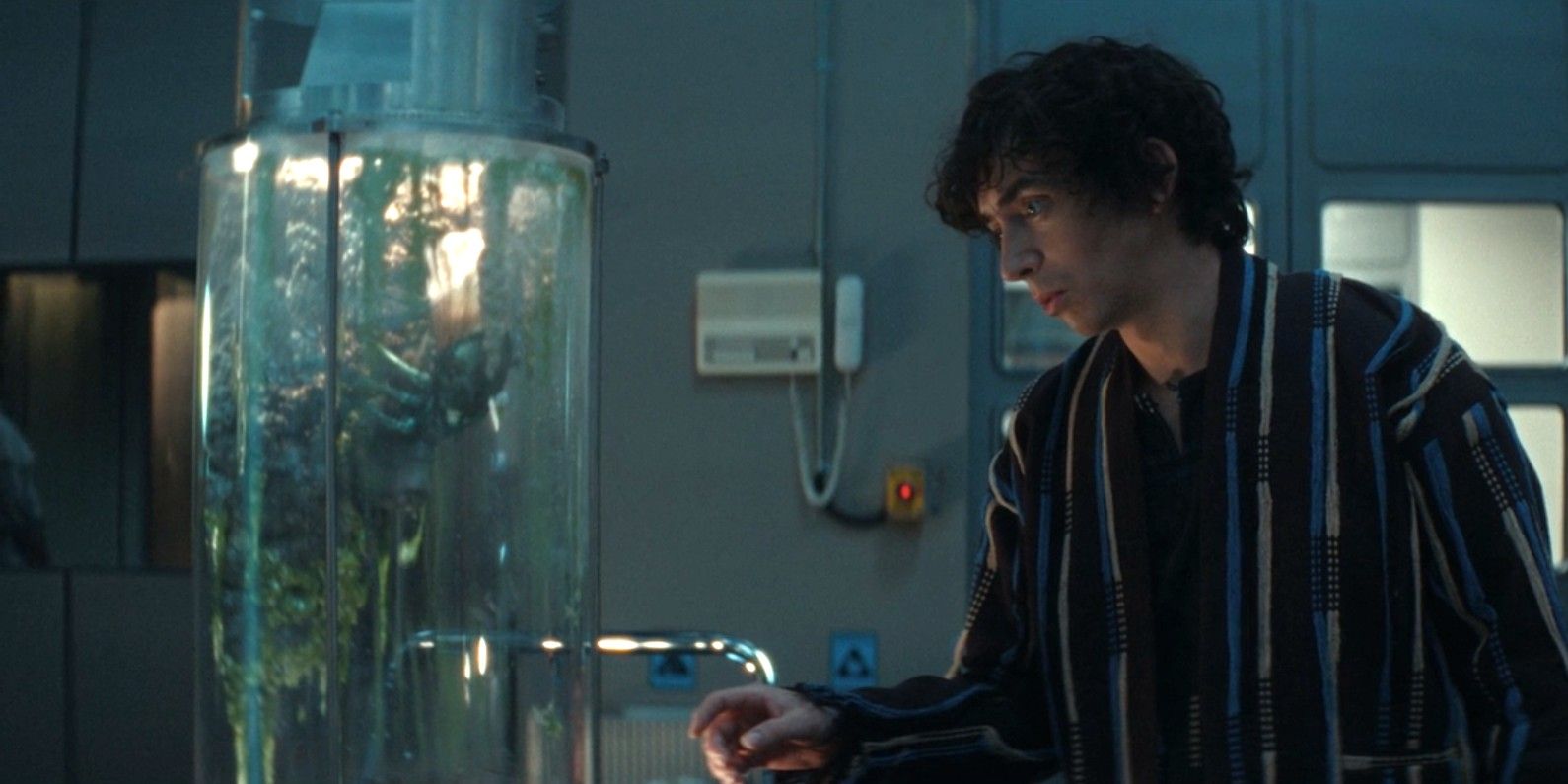 Detalhe de um inseto ou criatura em Alien: Earth.