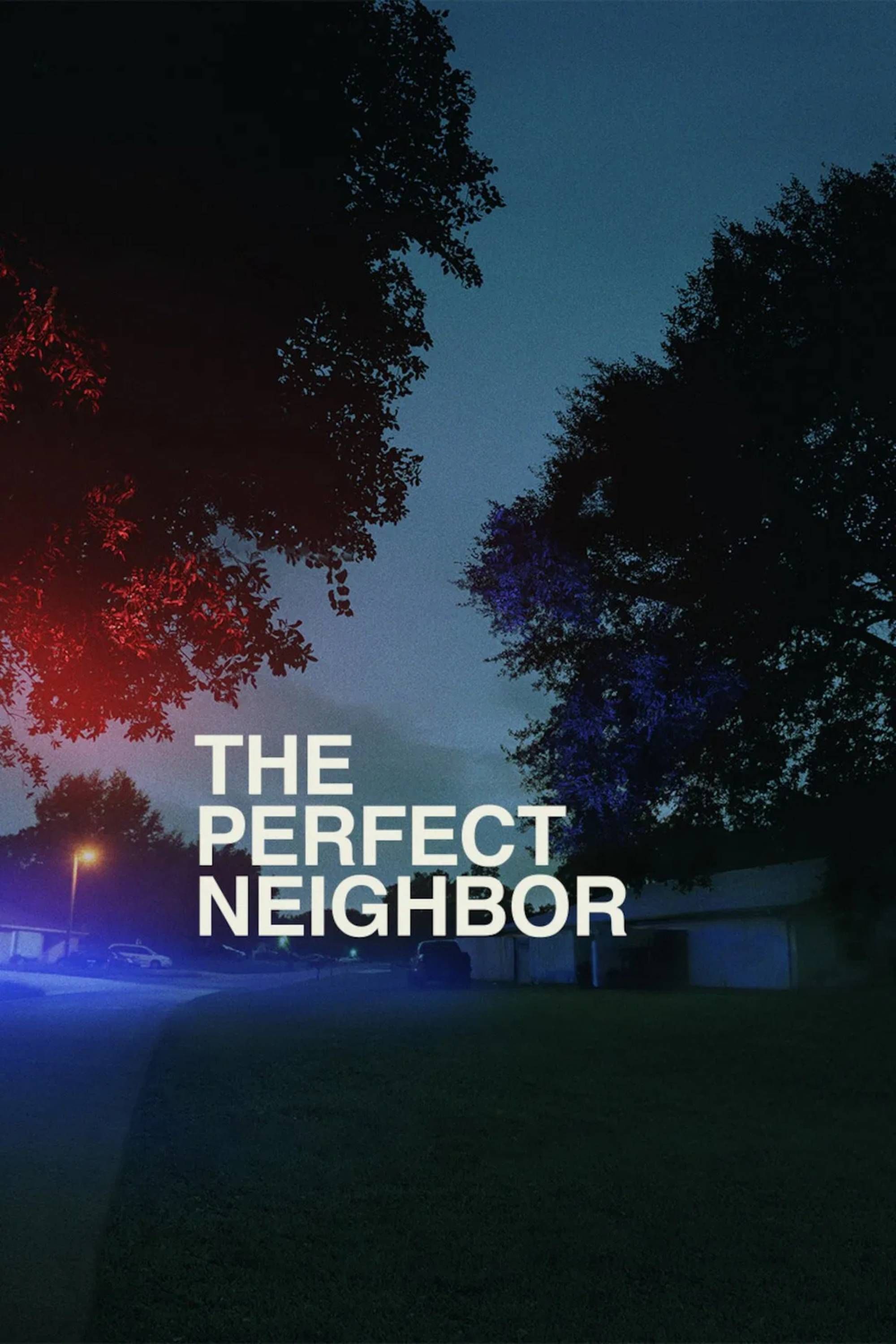Pôster do documentário The Perfect Neighbor.
