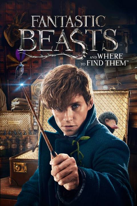 Harry Potter Animaux Fantastiques Beasts Newt Scamander Harry Potter Animaux Fantastiques Beasts Newt Scamander