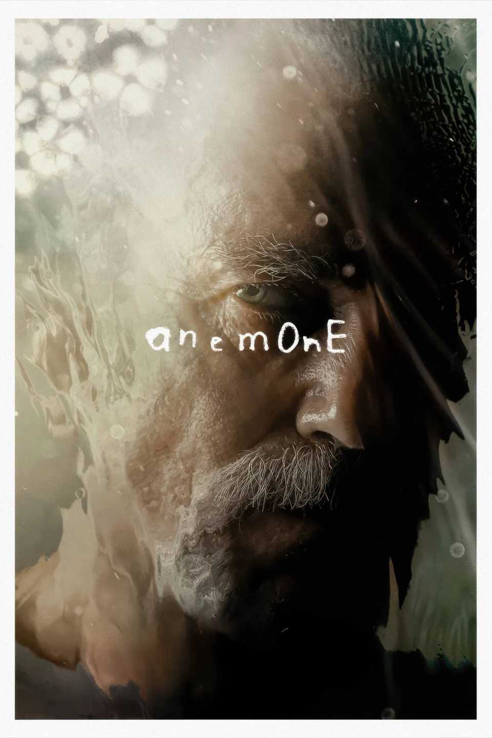 anemone-poster.jpg