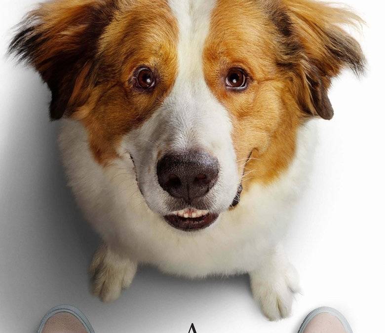 A Dog's Journey | Collider