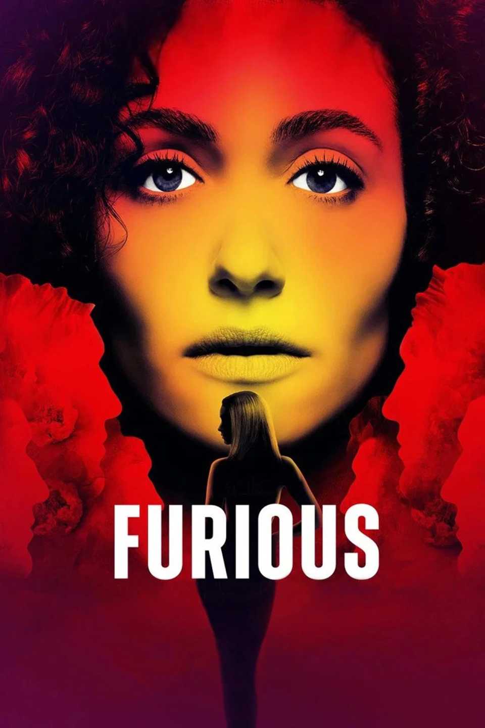 furious-poster.jpg