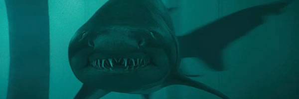 SHARK NIGHT Blu-ray Review