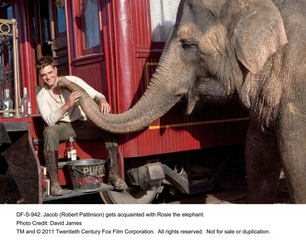Robert_Pattinson_Water_For_Elephants_image